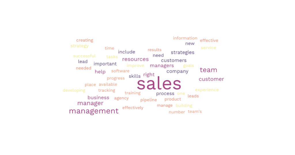 Sales Management Word Cloud